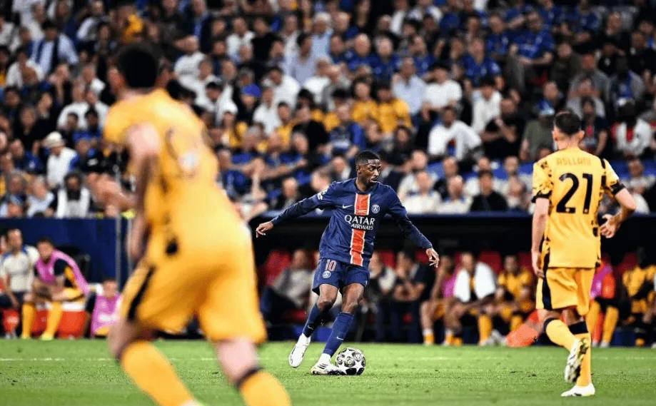 阿根廷的博 阿根廷的博